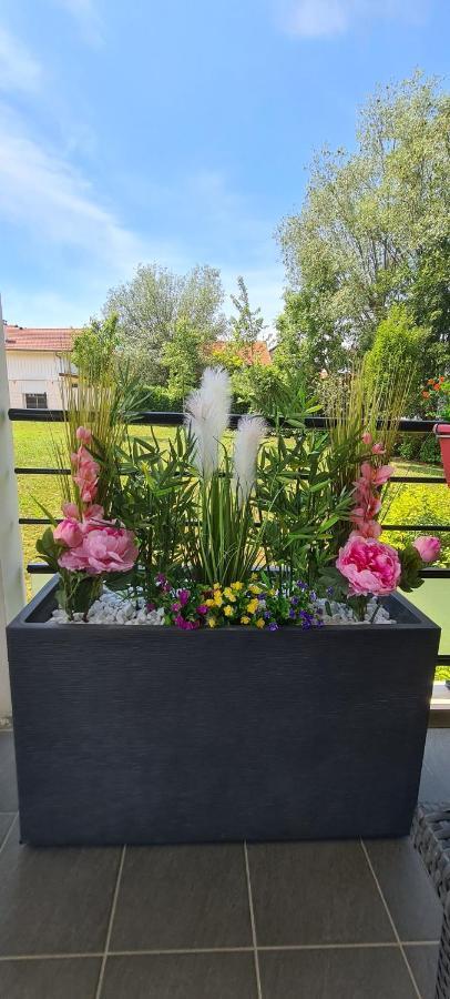 Le Cocon Du Leman Apartman Viry  Kültér fotó
