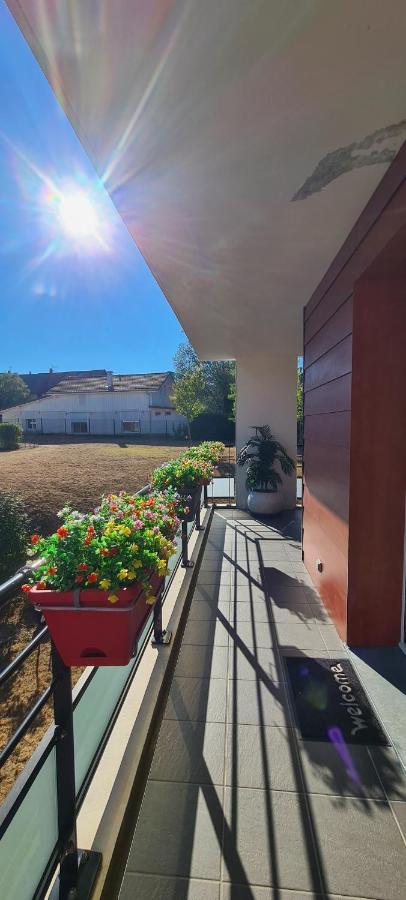 Le Cocon Du Leman Apartman Viry  Kültér fotó